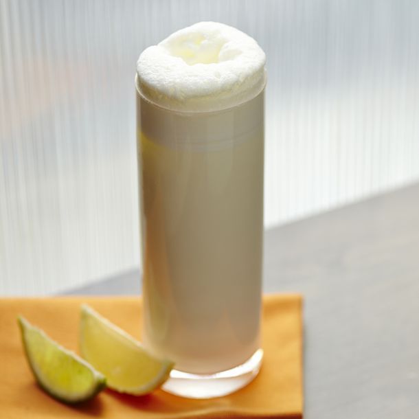 Gin Fizz